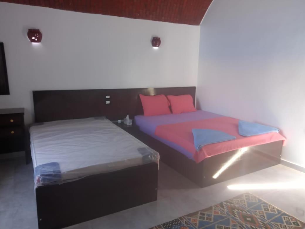 Kafana Guest House Nile View 아스완 외부 사진